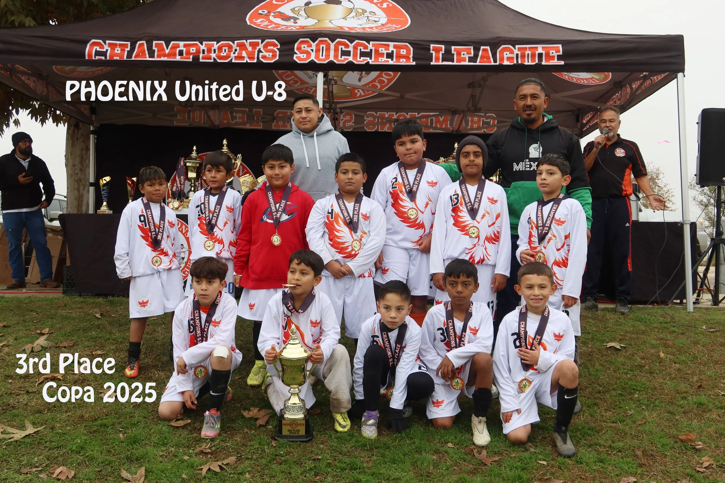 Sports League - Champions Soccer League